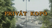 Privát kopó